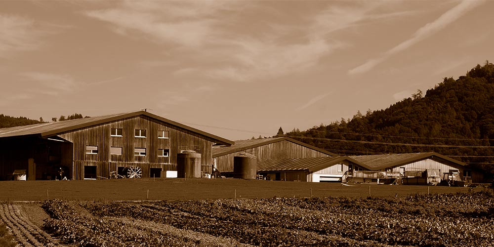 bolderhof
