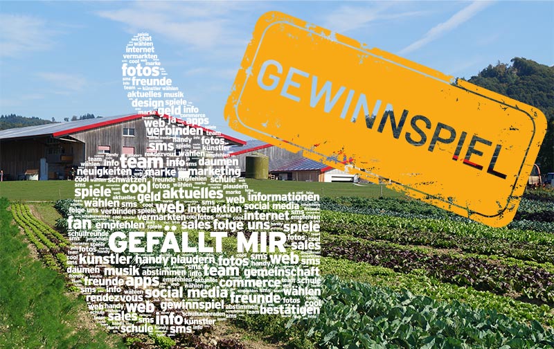 gewinnspiel_web